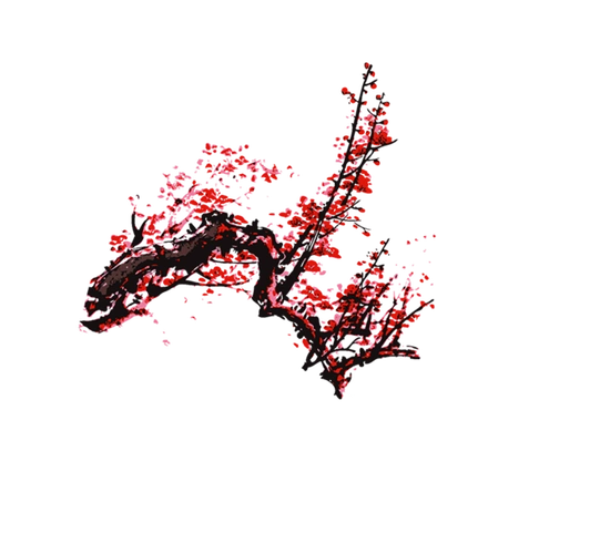 古风唯美水墨梅花png透明免扣图片兰花腊梅点缀元素ps设计素材