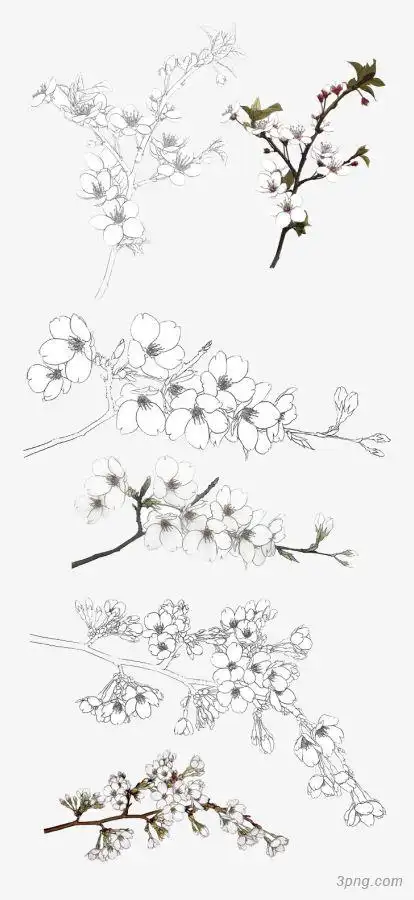 桃花卡通素描素描花古风素描图案素描装饰素描美女素描铅笔结婚卡通