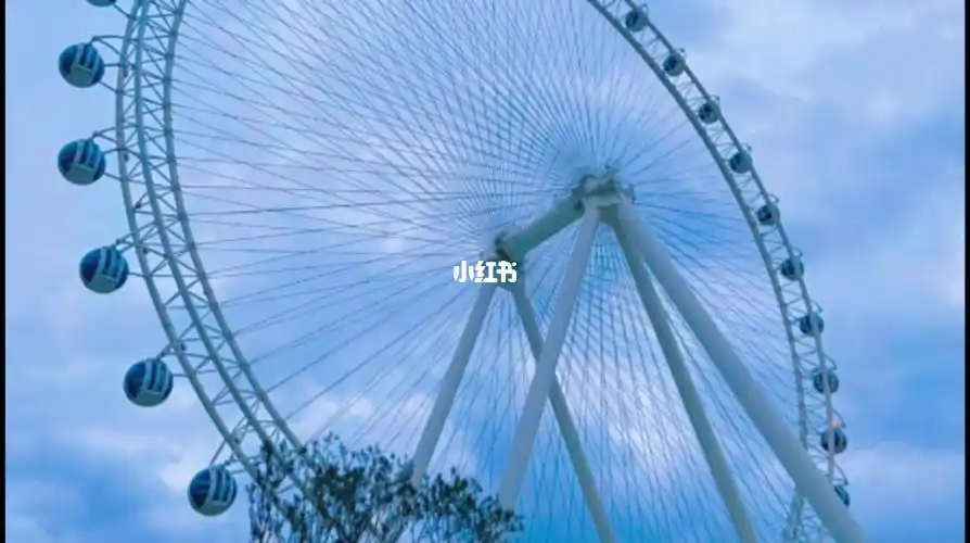 舟山之眼如心樱花公园摩天轮