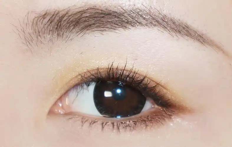 睫毛弯弯----烫睫毛器