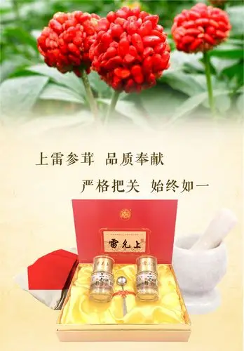 雷允上 上雷 三七粉礼盒(超细40克*2瓶)6938