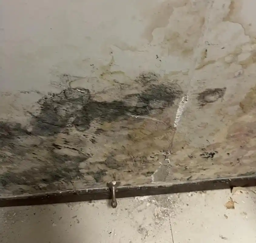 顶层房屋墙面发霉业主反映多年无果