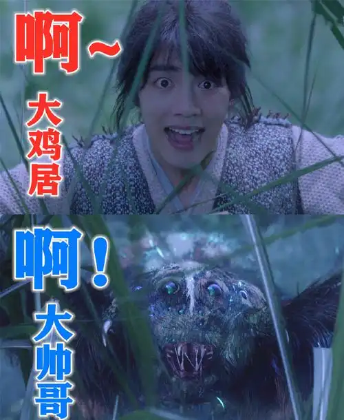 斗罗大陆表情包搬运工随缘更新