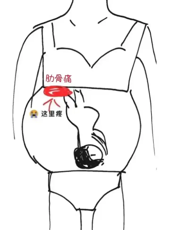 28w774/前几天有姐妹说耻骨疼,我还庆幸耻骨我都还不知道在 - 抖音