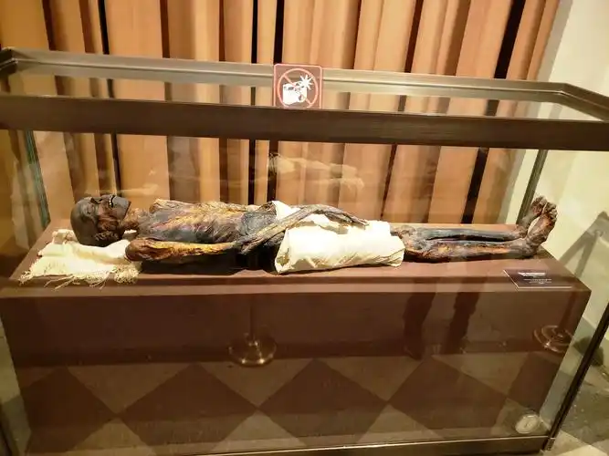 这是出土的真实木乃伊.