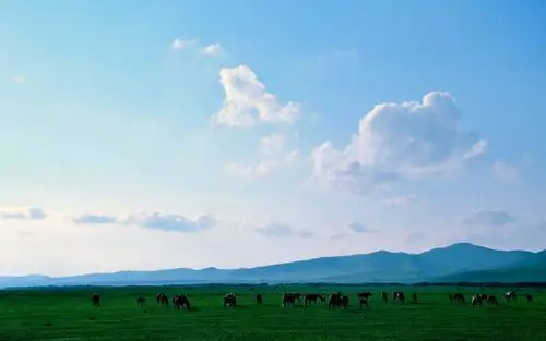 绿色空旷大草原风景图片桌面壁纸.