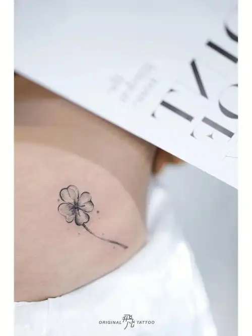 我正巧路过 我满心欢喜 你伴我一生幸运」-小清新" 四叶草意味着幸福