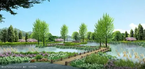湿地景观效果图图片