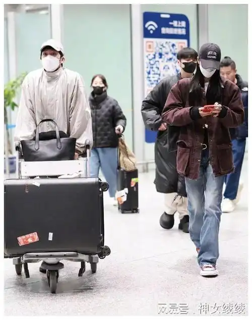 金晨不是胡夏暗恋对象不妨多关注作品给亲友留空间