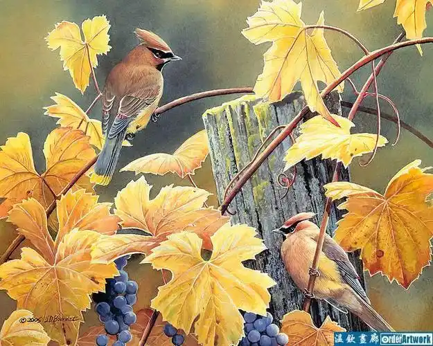 susan bourdet 四季小鸟油画欣赏