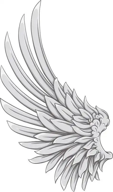 翅膀怎么画简单又漂亮