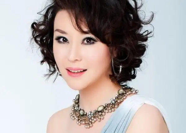 歌手苏红个人资料-这些70,80年代的女歌星及她们的主打歌曲你是否还有