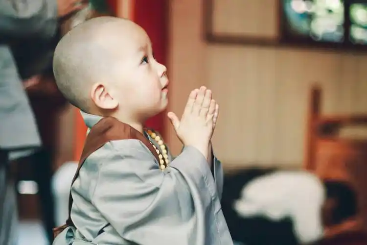 人善被人欺_老和尚_小和尚_智慧