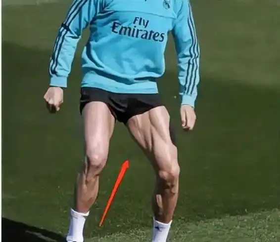 腘绳肌.腘绳肌,大腿后侧的肌群(不是一块单独的肌肉)由半腱肌 - 抖音