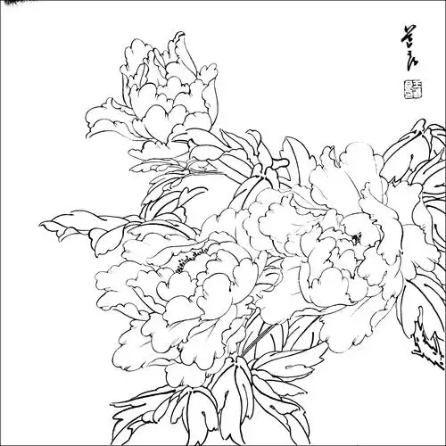 想学好工笔画先从白描开始