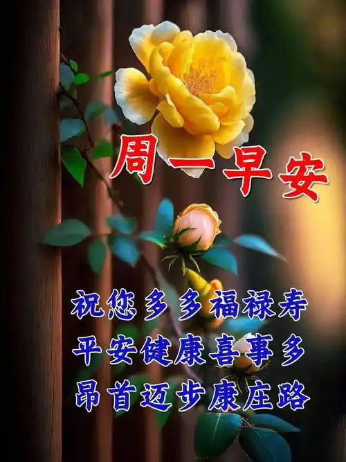2月27日周一早上好,星期一精选祝福图片带字带问候语录集_平安_是一种
