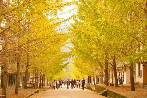 十一月最值得推荐的旅行目的地之一,来一场完美的年末收官旅行!