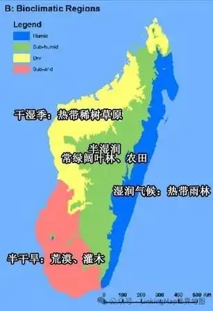 马达加斯加:亚太与黑非洲的相遇