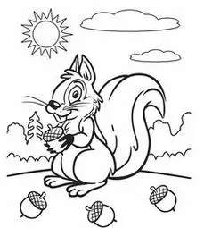 小松鼠简笔画图片大全 小松鼠简笔画图片大全可爱卡通