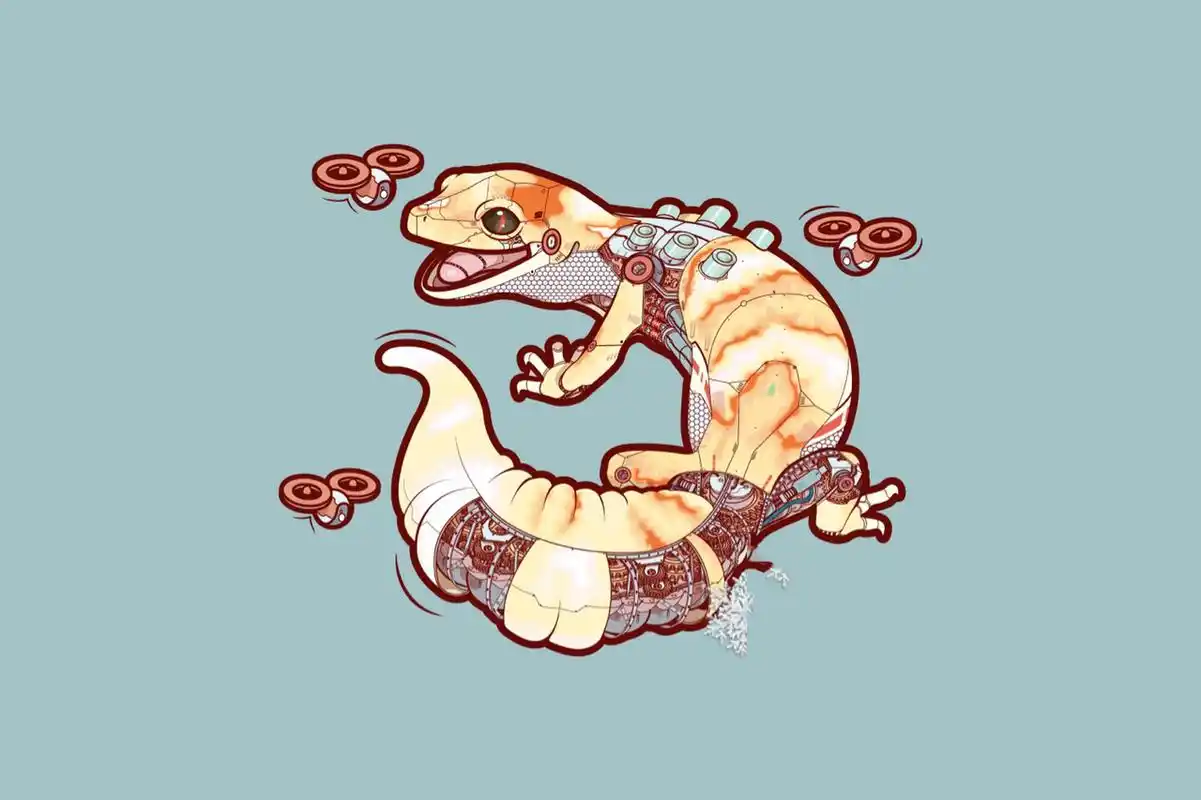 守宫星球豹纹守宫拒食指南 (上) (守宫星球张赫小宝编录) 1.