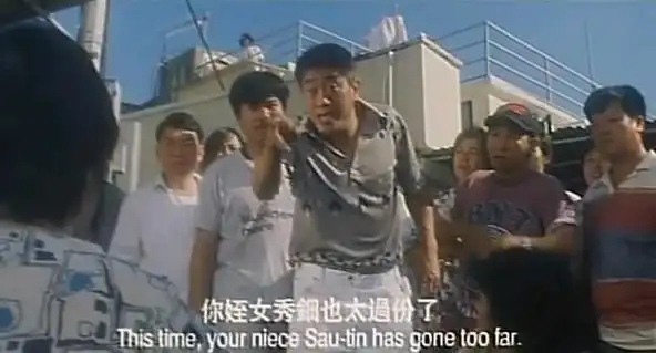 麻雀飞龙mahjongdragon(1996)