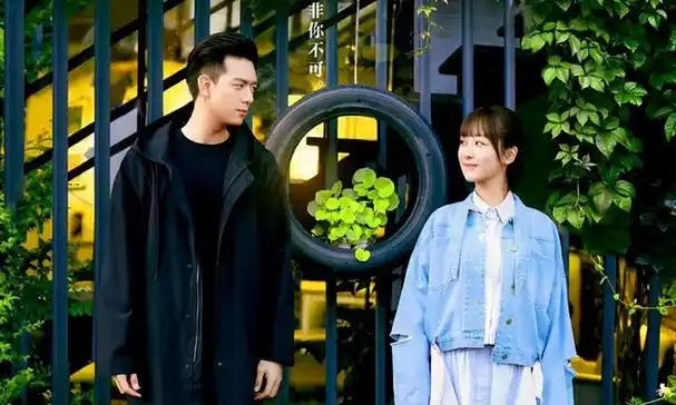 爱情偶像剧(爱情偶像剧电视剧排行榜)