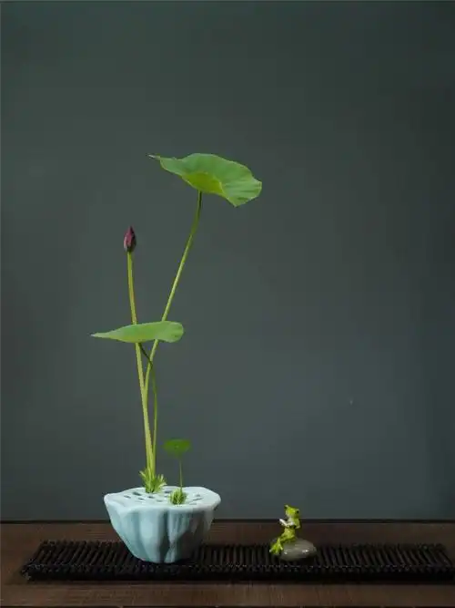 禅- 堆糖,美图壁纸兴趣社区