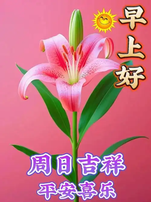 1月9日早安漂亮图片问候祝福语|快乐|清晨|幸福|早上好_网易订阅