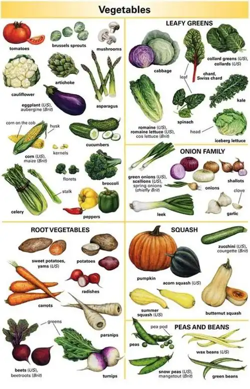 买菜英文怎么说说成buyvegetabls会被老外笑话
