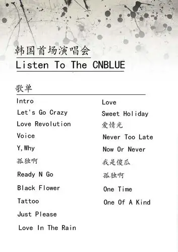 listen to the cnblue 韩国演唱会歌单