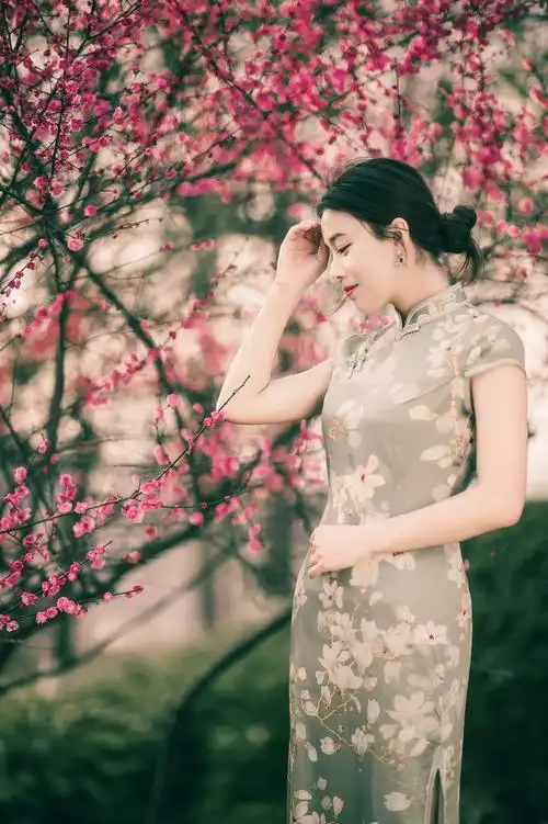 甜女系列红梅下的旗袍女