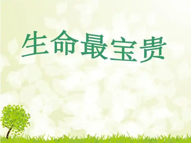 生命最可贵-部编版 (19).ppt 33页