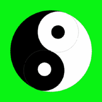 太极gif转动gif绿色背景gif熊猫眼gif