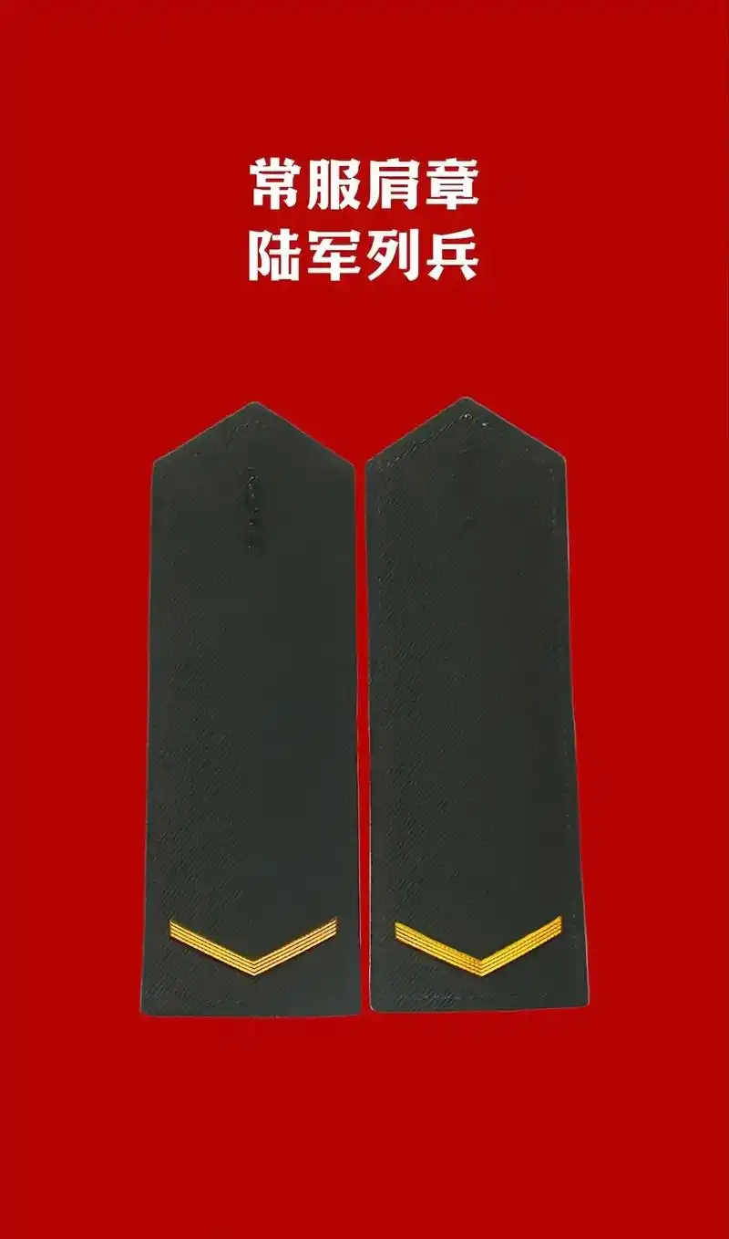 全军21式军衔肩章.义务兵军(警),军(警)士和军(警)官军 - 抖音