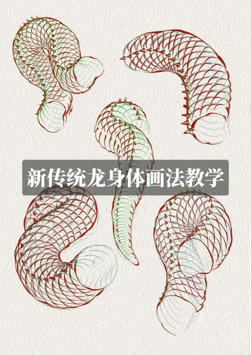 龙的身体怎么画才正确.