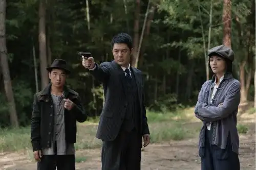 杨山,谢仙,张澎澎,王霏等演员联袂主演的大型电视谍战剧《铁核桃》3月