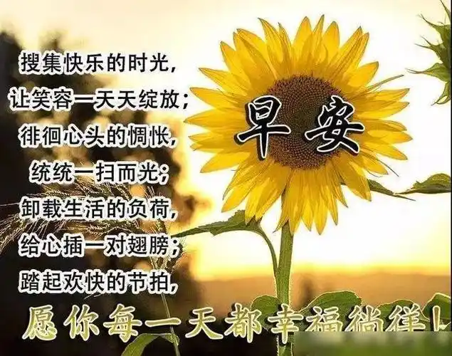 最新早安祝福温馨语句早上问候大家的暖心祝福语图片