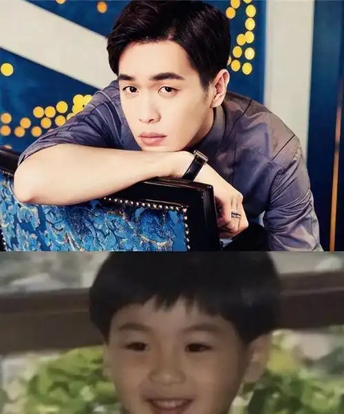 在娱乐圈的璀璨星空中,张若昀无疑是一颗耀眼的明星.