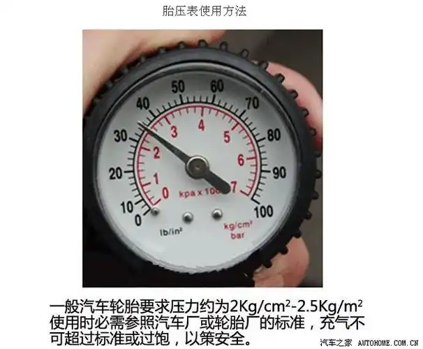 上面黑子刻度是磅,下面红字是大气压.