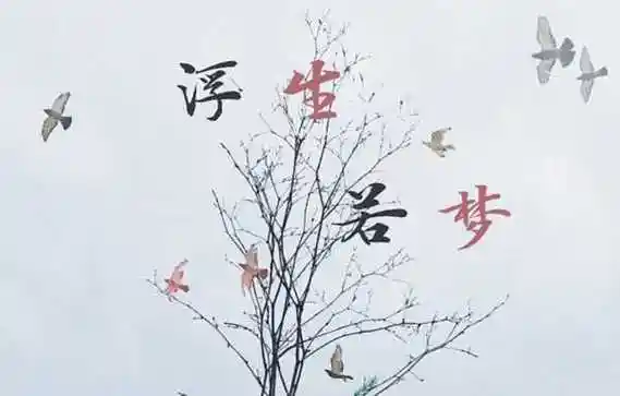 浮生若梦的意思安之若素浮生若梦什么意思