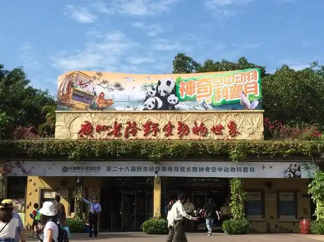 奇妙的野生世界,畅游长隆野生动物园