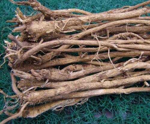 吉林特产 野生黄芪 东北黄芪 无熏制长白山北芪