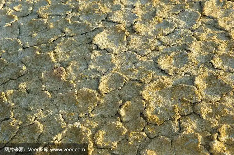 阿尔泰地区汞沉积的彩色土壤