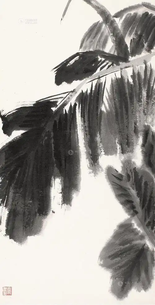 0086芭蕉镜片水墨纸本