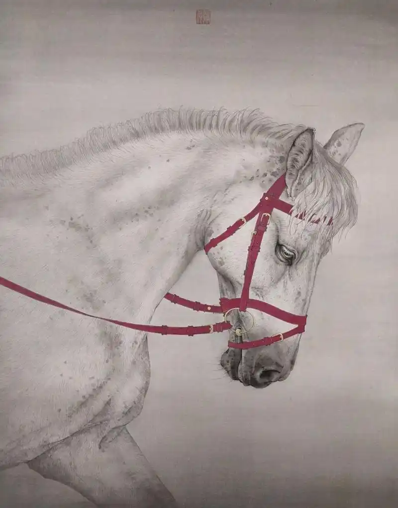 马 工笔画工笔马国画马白马原创作品 寻找小红书绘画大神 马 工笔画