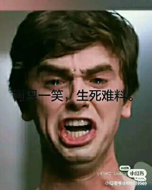 海默. 表情包,你值得拥有