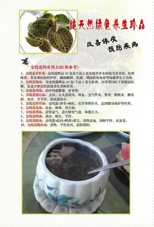 金线莲作用与功效金线莲泡水喝功效好么