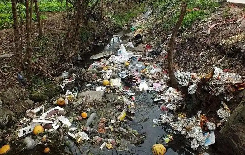 地球"渴"了 因为人们过度地砍伐树木 森林植被被破坏 造成了土地荒漠