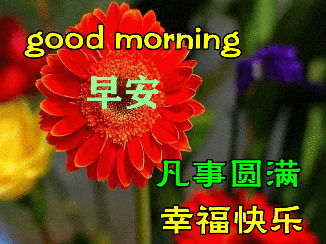早上好动态表情图片大全,早晨好动图美图大全_开心