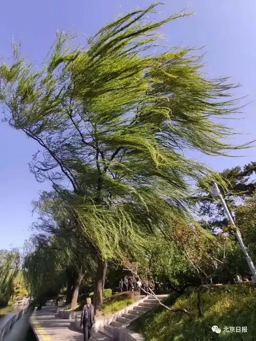 今天这场风把北京直吹上热搜刚刚好消息来了